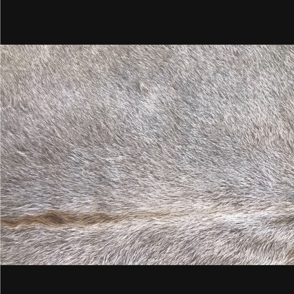 Natural Cow Hide Rug - Picture 2 of 7